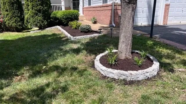 Expert lawn care service in Alexandria, VA by Kingstowne Lawn & Landscape