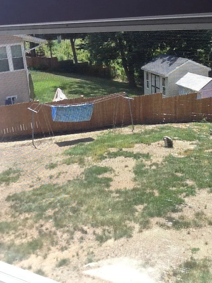 Trusted outdoor landscaping in Alexandria, VA - Kingstowne Lawn & Landscape