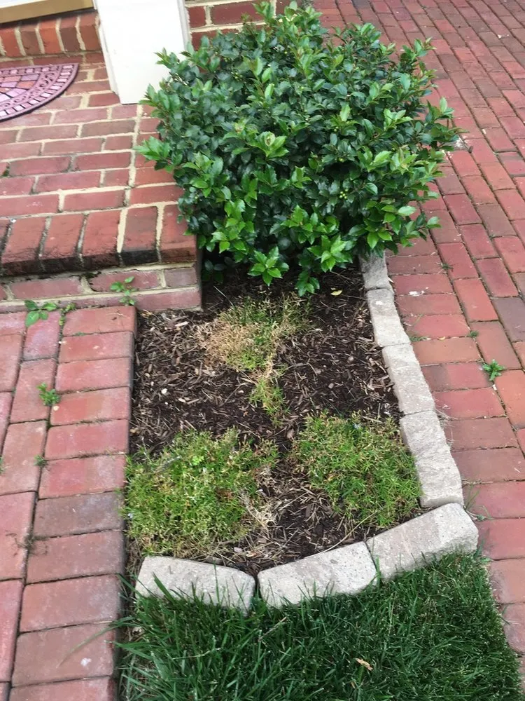 Reliable garden landscaping for beautiful yards in Alexandria, VA by Kingstowne Lawn & Landscape