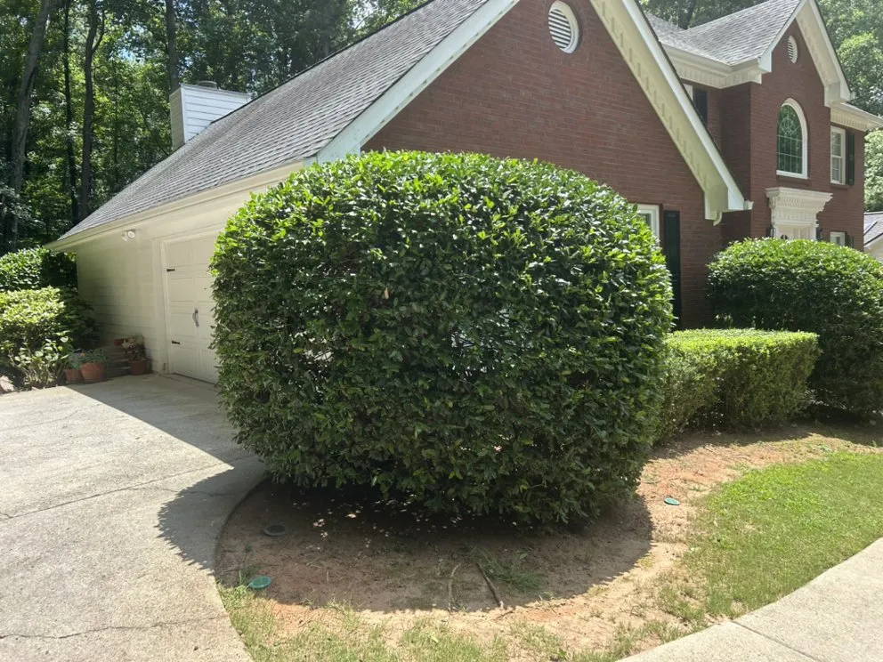 Custom garden landscaping for beautiful yards across Stone Mountain, GA - Kingswood Property Services