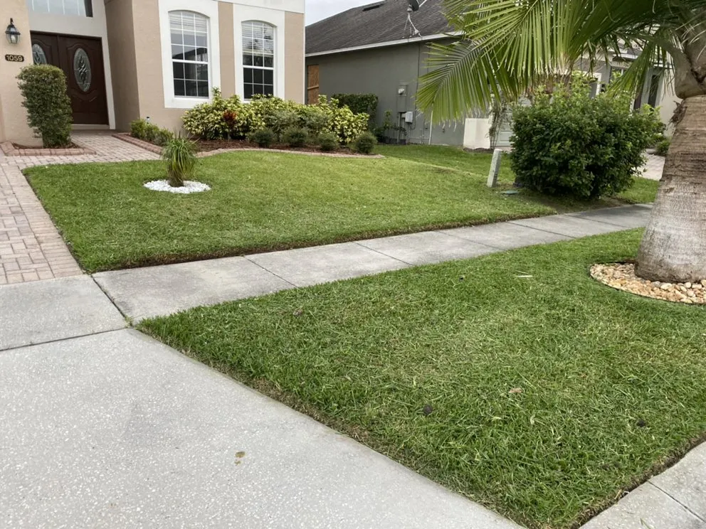 Local yard cleanup service in Orlando, FL - Kingtana Landscaping