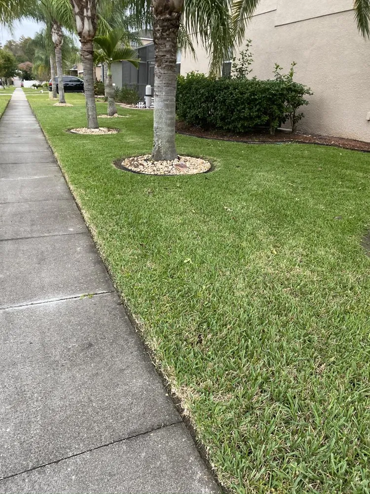 Expert landscaping services in Orlando, FL by Kingtana Landscaping