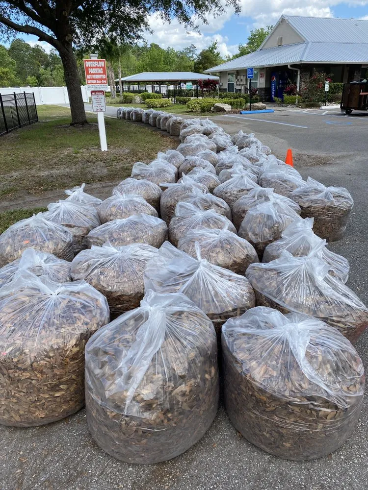 Local lawn mowing service experts serving Orlando, FL - Kingtana Landscaping