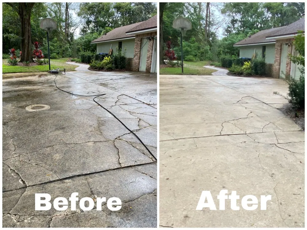 Reliable lawn care service experts serving Orlando, FL - Kingtana Landscaping