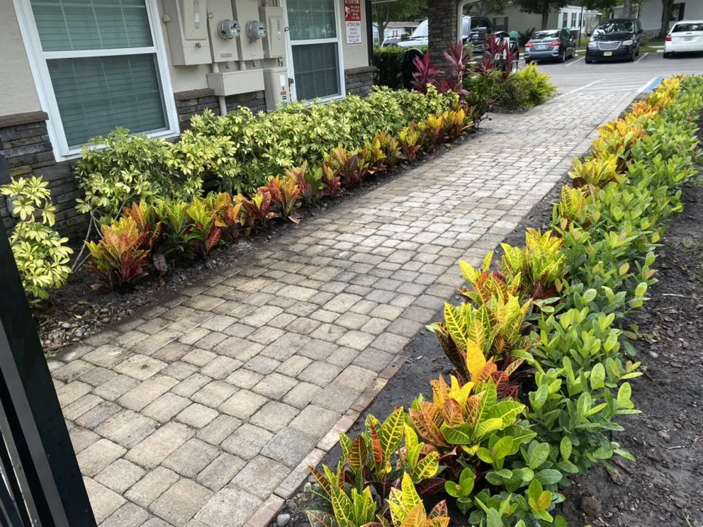 Local landscaping services with custom design in Orlando, FL by Kingtana Landscaping