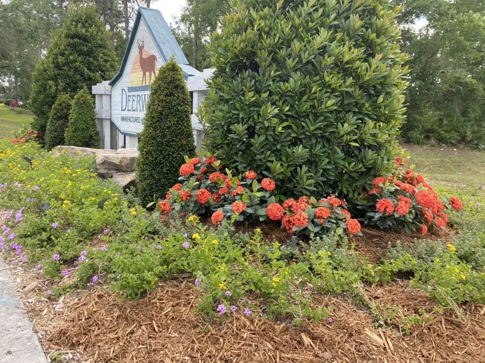 Expert landscape design with custom design across Orlando, FL - Kingtana Landscaping