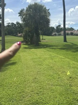 Kingtana Landscaping Logo