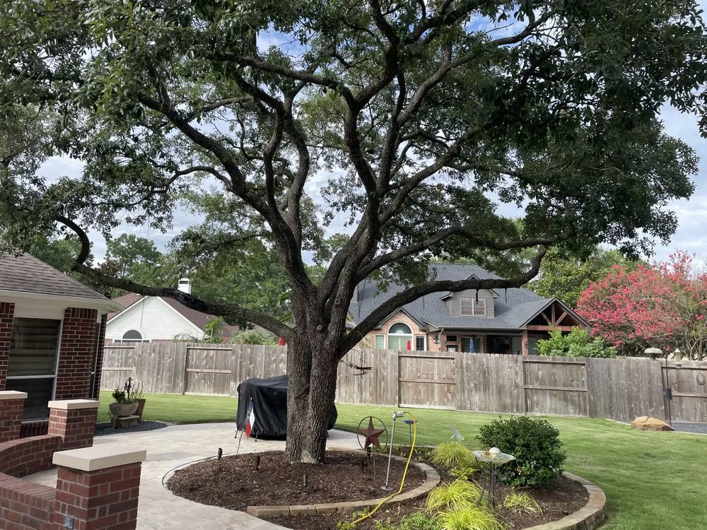 Custom outdoor landscaping experts serving Kingwood, TX - Kingwood Fertilizing