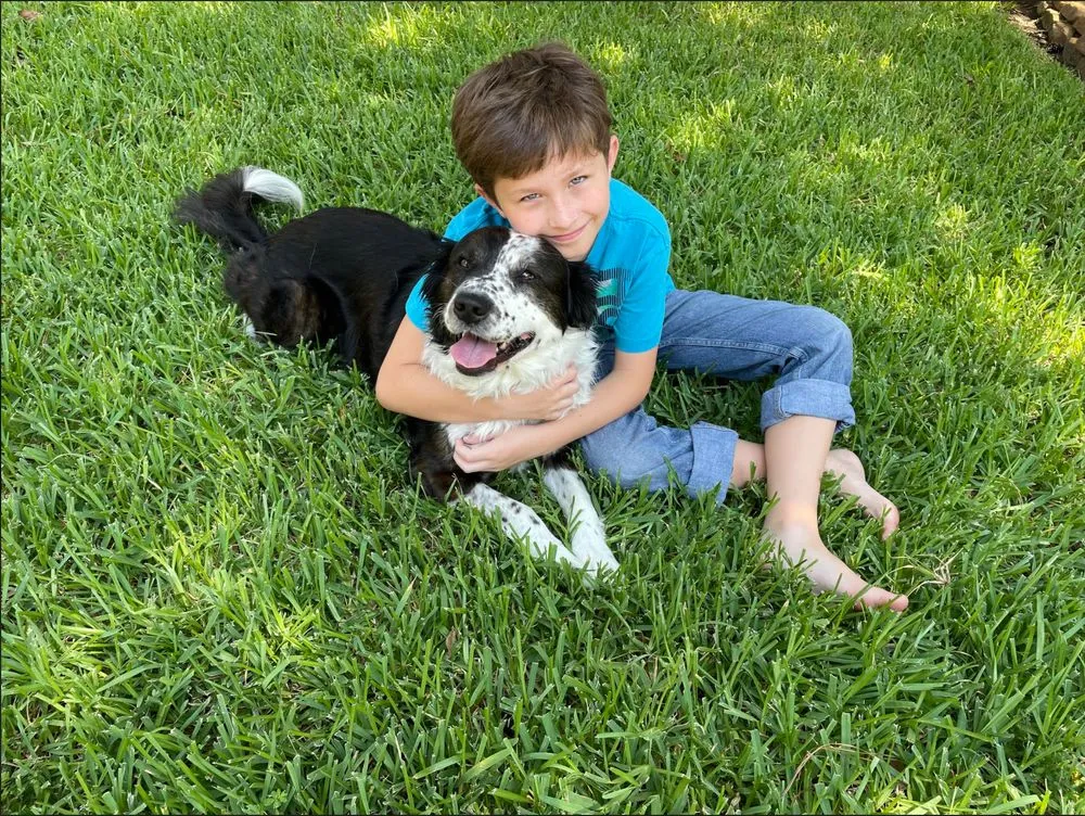 Reliable residential landscaping for year-round maintenance in Kingwood, TX by Kingwood Fertilizing