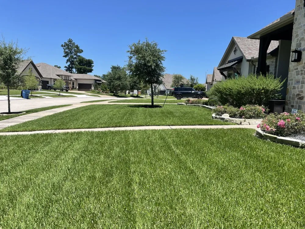 Top-rated landscape design in Kingwood, TX by Kingwood Fertilizing