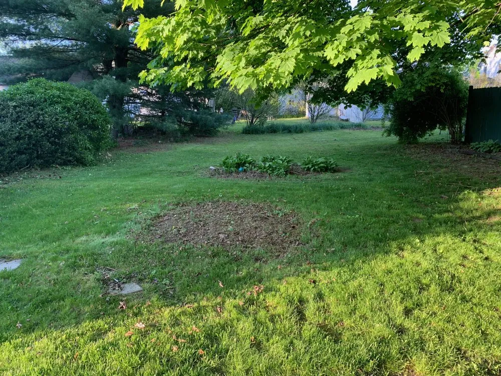 Reliable yard cleanup service in Kingston, NY by Kingwoods Landscaping