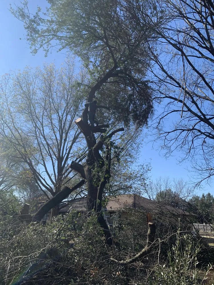 Custom garden landscaping for residential properties in Dallas, TX by Kingz Landscaping and Fencing