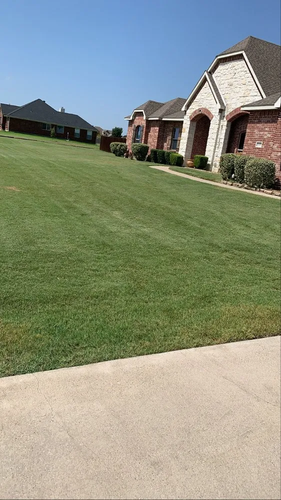 Top-rated lawn care service in Dallas, TX - Kingz Landscaping and Fencing