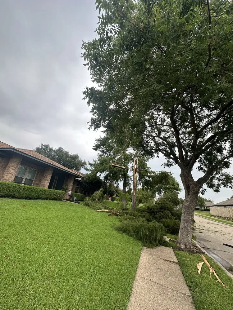 Custom landscaping services for year-round maintenance across Dallas, TX - Kingz Landscaping and Fencing