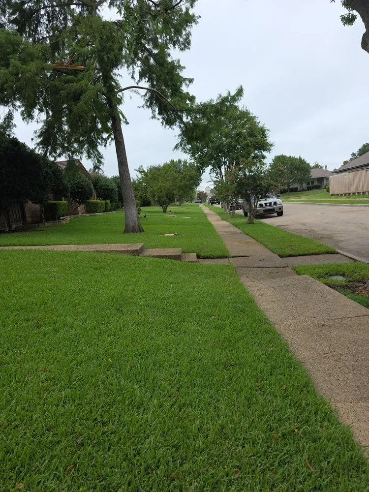 Reliable outdoor landscaping for year-round maintenance in Dallas, TX by Kingz Landscaping and Fencing