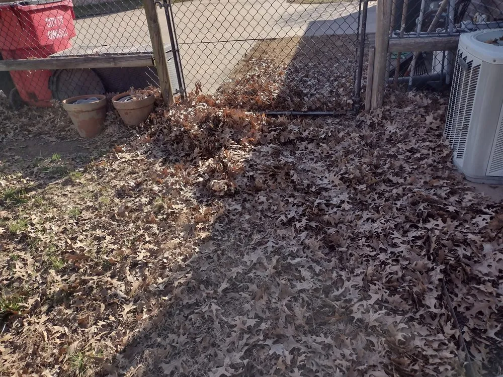 Affordable lawn care service in Skiatook, OK by Kingz Lawnz