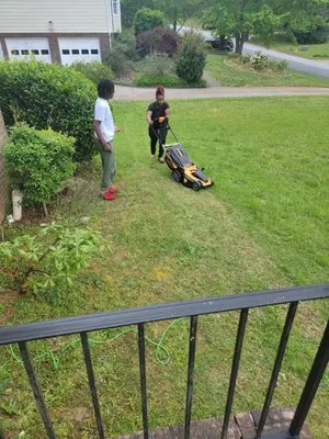 Kingz Professional Lawn Services Logo