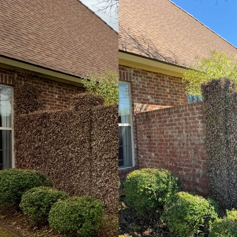 Custom yard cleanup service in Lafayette, LA by Kinkades Lawn Service