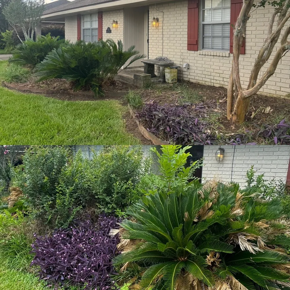 Professional lawn care service for year-round maintenance across Lafayette, LA - Kinkades Lawn Service