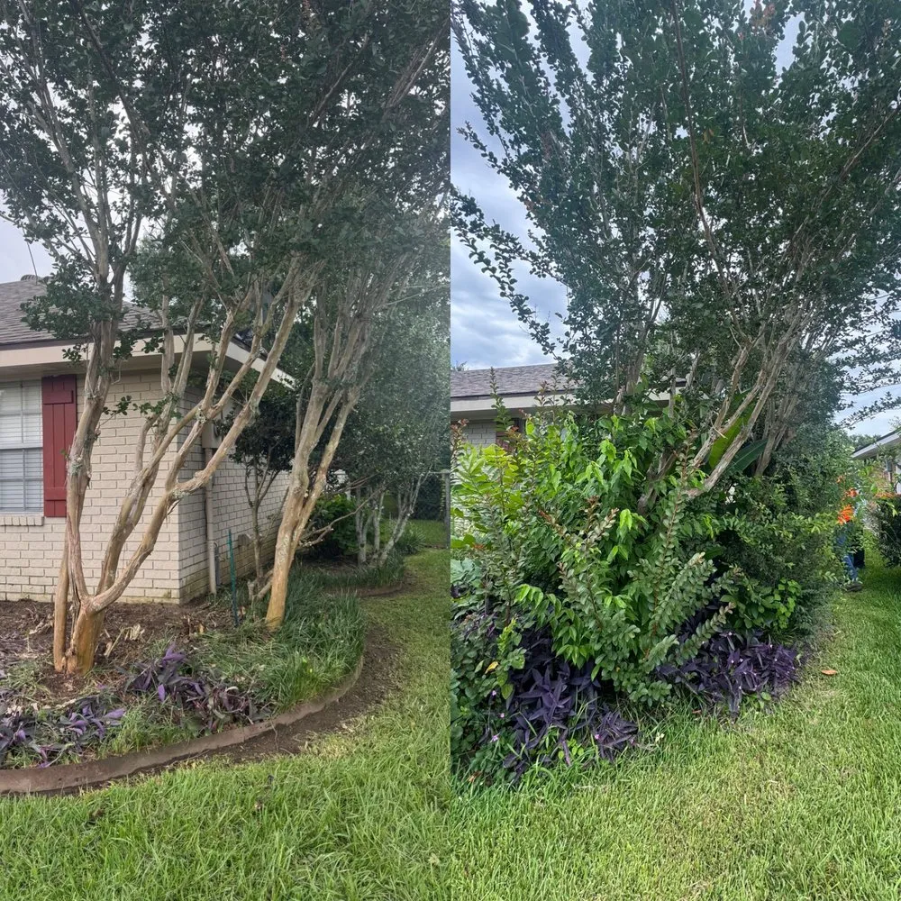 Professional residential landscaping for residential properties in Lafayette, LA by Kinkades Lawn Service