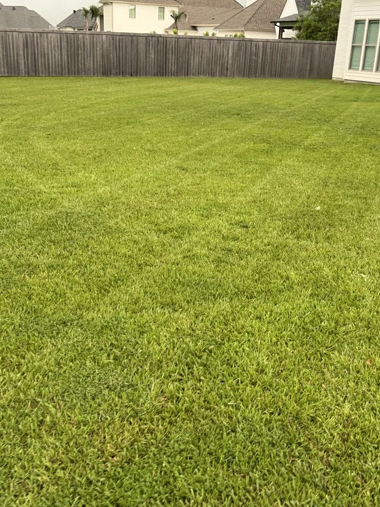 Custom landscape installation experts serving Lafayette, LA - Kinkades Lawn Service
