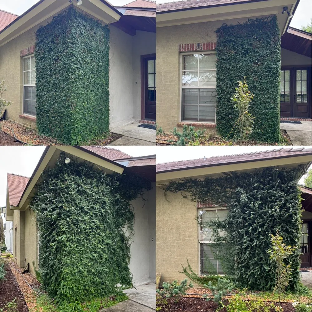 Expert yard cleanup service experts serving Lafayette, LA - Kinkades Lawn Service