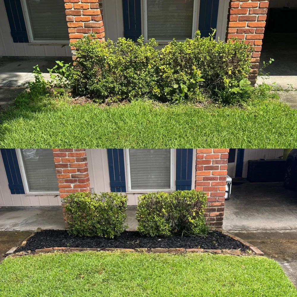 Trusted lawn mowing service in Lafayette, LA by Kinkades Lawn Service