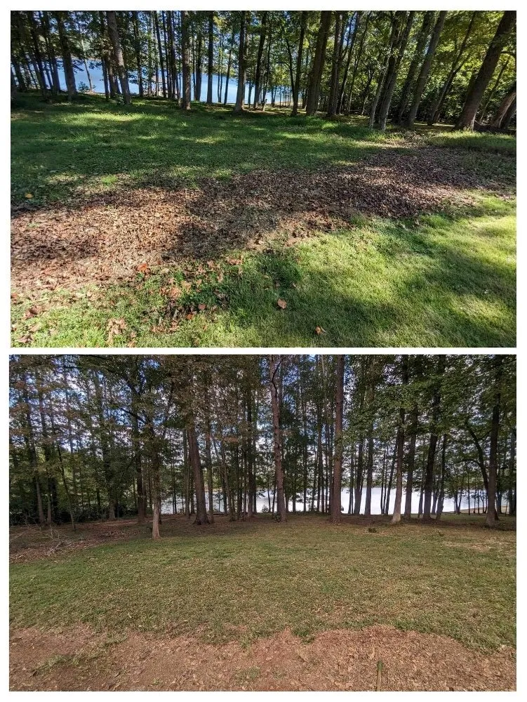 Professional landscape installation for homes in Easley, SC by Kinsey's Lawn Care