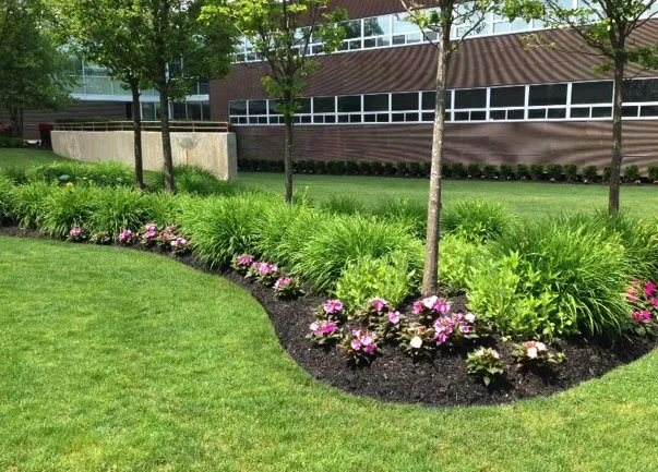 Trusted residential landscaping for year-round maintenance across Easley, SC - Kinsey's Lawn Care