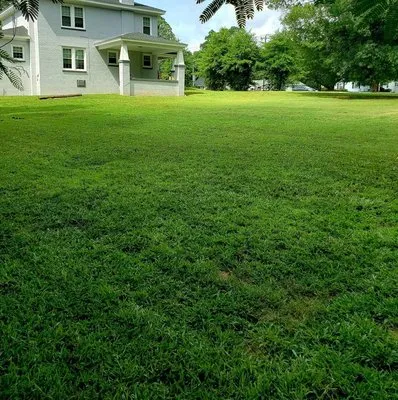 Kinsey's Trusted Lawn Care & Services Logo