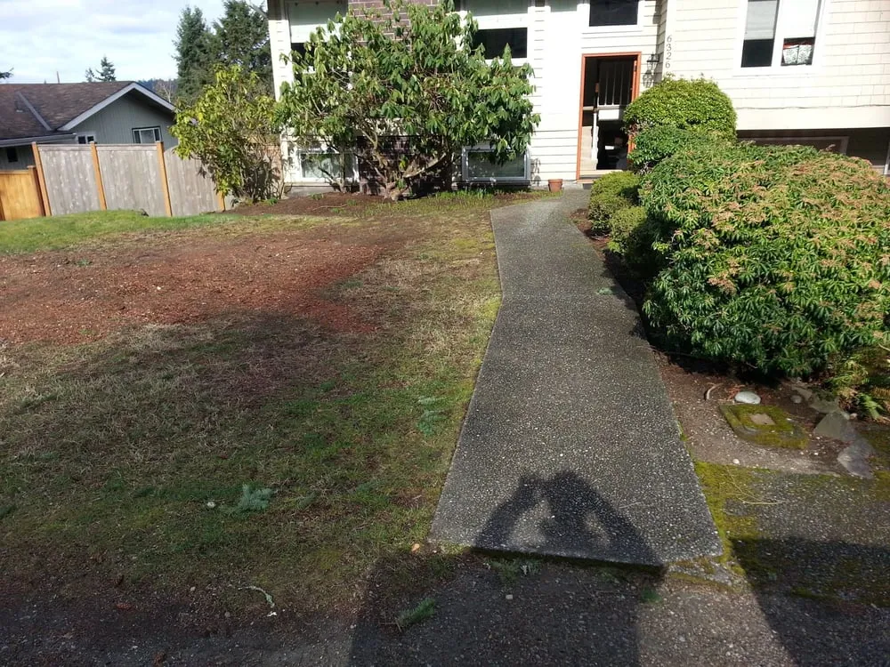 Custom yard maintenance experts serving Woodinville, WA - Kinssies Landscaping