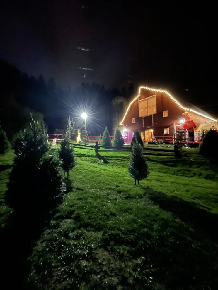 Affordable yard maintenance in Woodinville, WA - Kinssies Landscaping