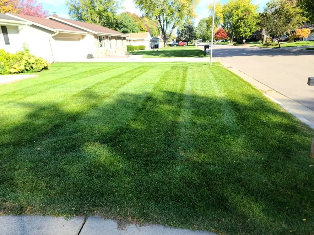 Trusted yard cleanup service in Janesville, WI - Kinzie Lawncare
