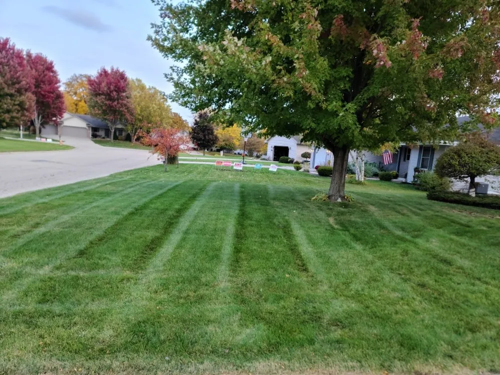 Top-rated yard cleanup service for year-round maintenance across Janesville, WI - Kinzie Lawncare