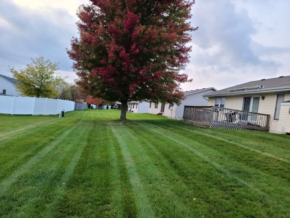 Local lawn care service for year-round maintenance in Janesville, WI by Kinzie Lawncare