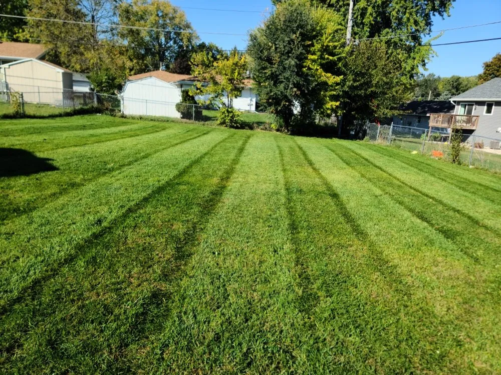 Custom yard cleanup service in Janesville, WI - Kinzie Lawncare