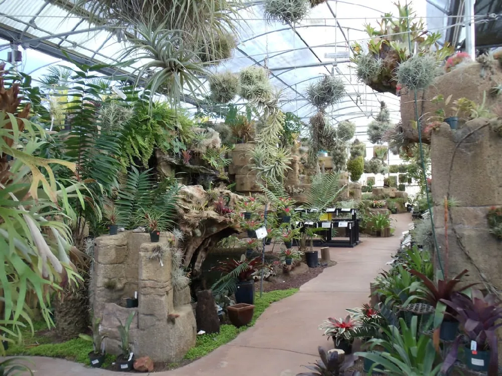 Custom yard maintenance for residential properties in Fallbrook, CA by Kira Construction