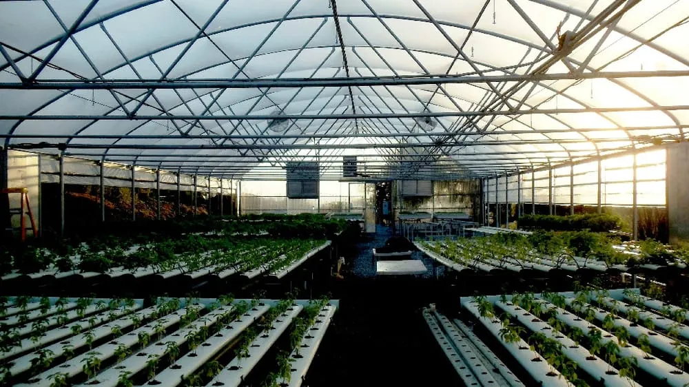 Local residential landscaping for outdoor upgrades in Fallbrook, CA by Kira Construction