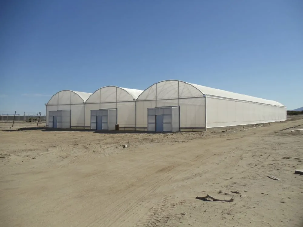 Local landscape design experts serving Fallbrook, CA - Kira Construction