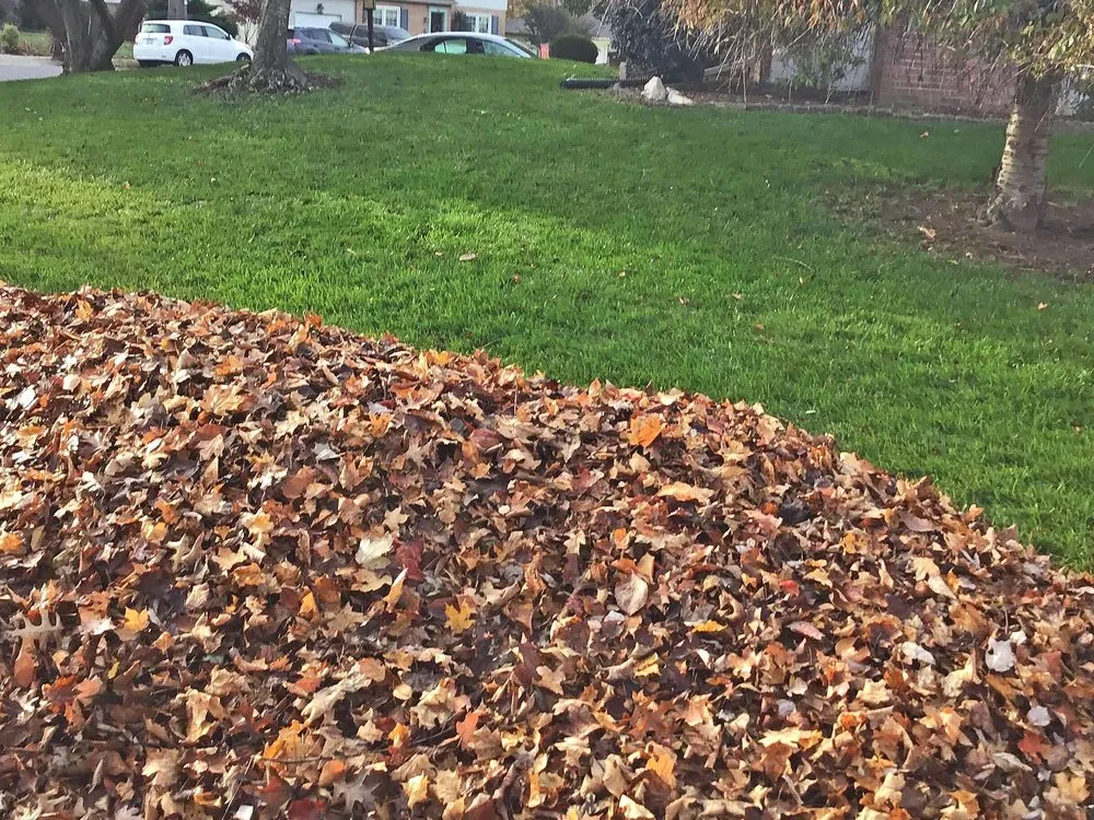 Affordable lawn mowing service for year-round maintenance in Hopewell, VA by Kirby Home Services