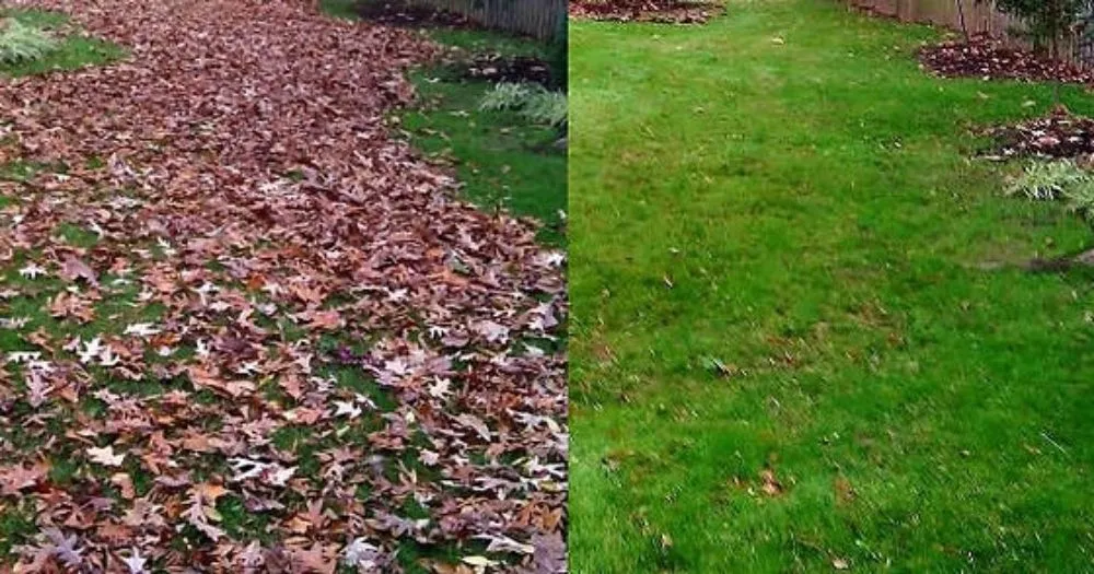 Expert landscaping services for outdoor upgrades across Hopewell, VA - Kirby Home Services