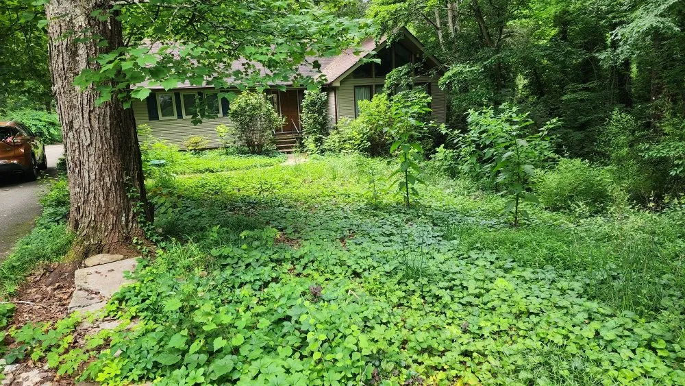 Trusted landscape installation experts serving Seymour, TN - KirbyDoesItAll