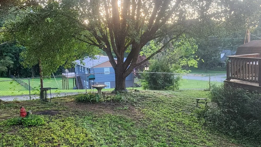 Local lawn mowing service near you across Seymour, TN - KirbyDoesItAll