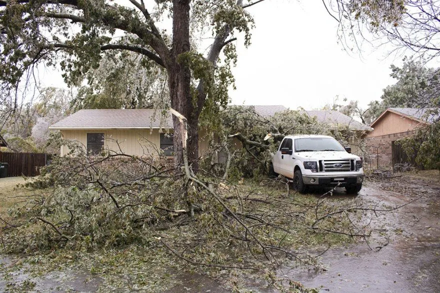 Expert landscaping services experts serving Peggs, OK - Kirby's Affordable Lawn Services