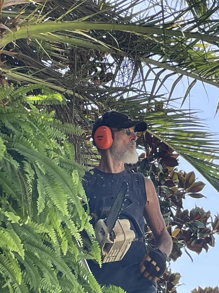 Affordable yard maintenance for homes across Flagler Beach, FL - Kirby's Expert Tree Service