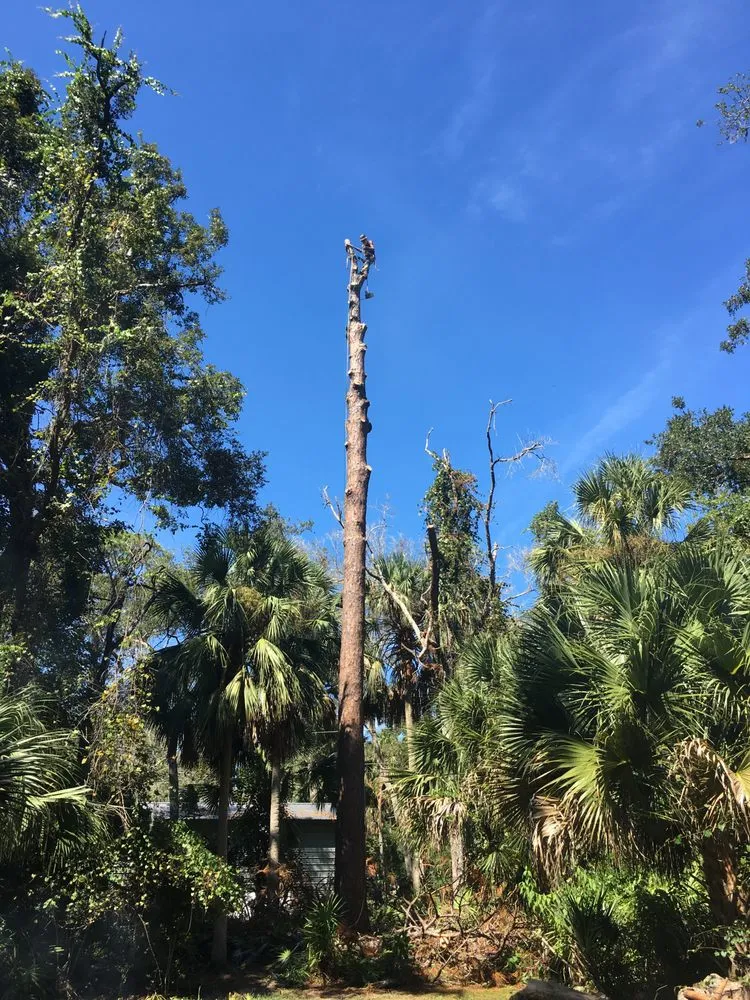 Expert outdoor landscaping experts serving Flagler Beach, FL - Kirby's Expert Tree Service
