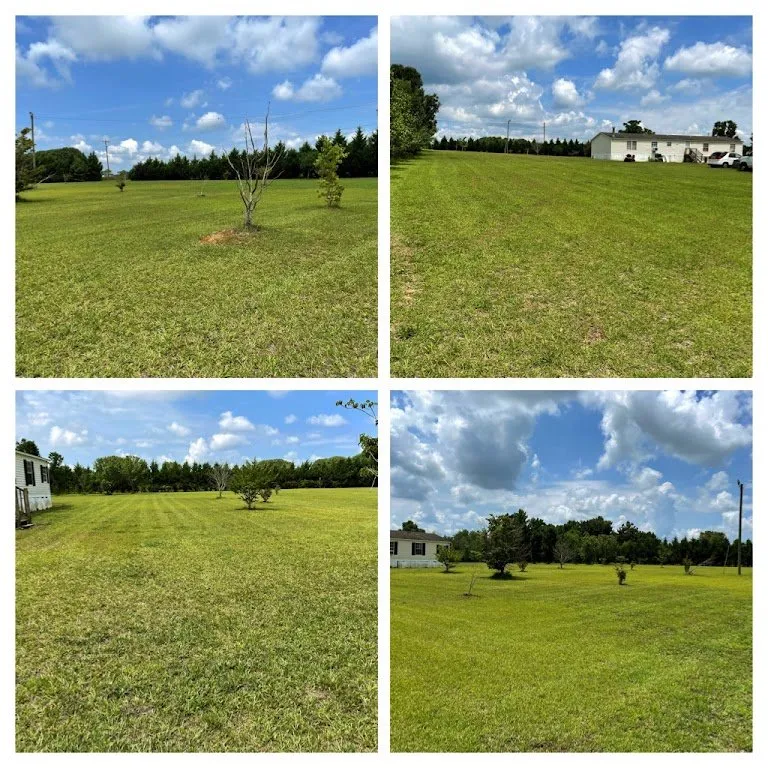 Top-rated landscaping services experts serving Sumter, SC - Kirby's Lawn Care Service