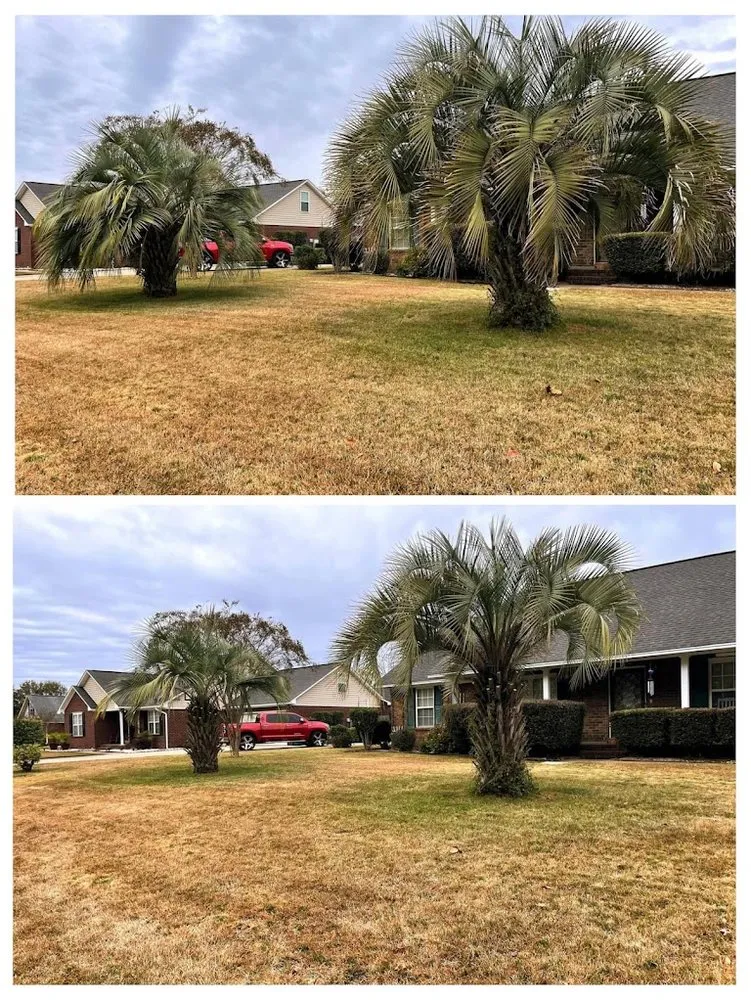 Trusted landscaping services in Sumter, SC by Kirby's Lawn Care Service