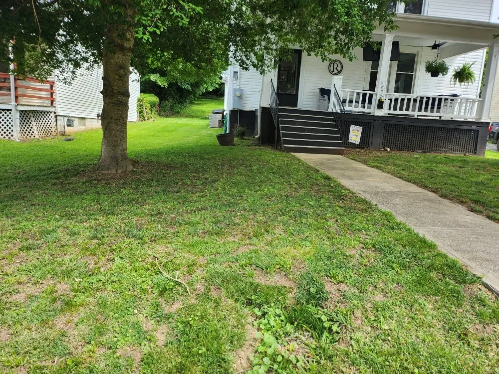 Professional yard cleanup service experts serving Mount Sterling, KY - Kirby's Lawn Kare