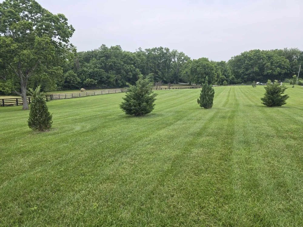 Reliable landscape installation in Mount Sterling, KY - Kirby's Lawn Kare